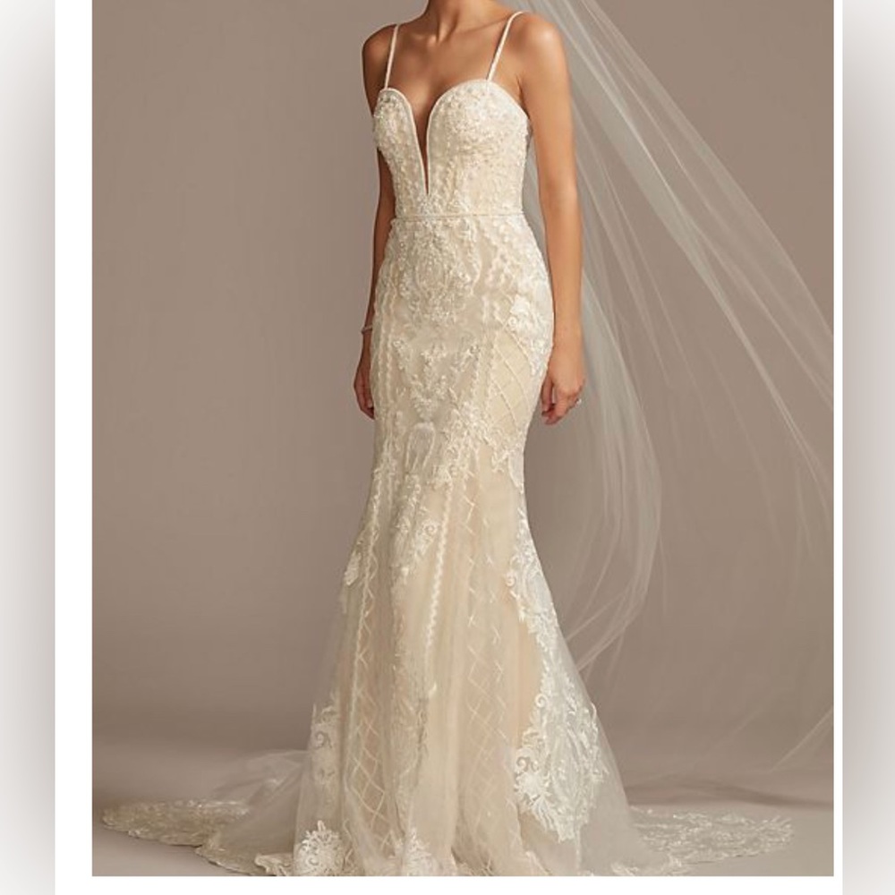 Plus size wedding dress